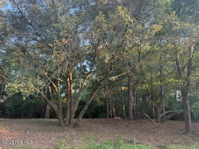 301 Lehigh Road, Wilmington, NC 28412 - #1