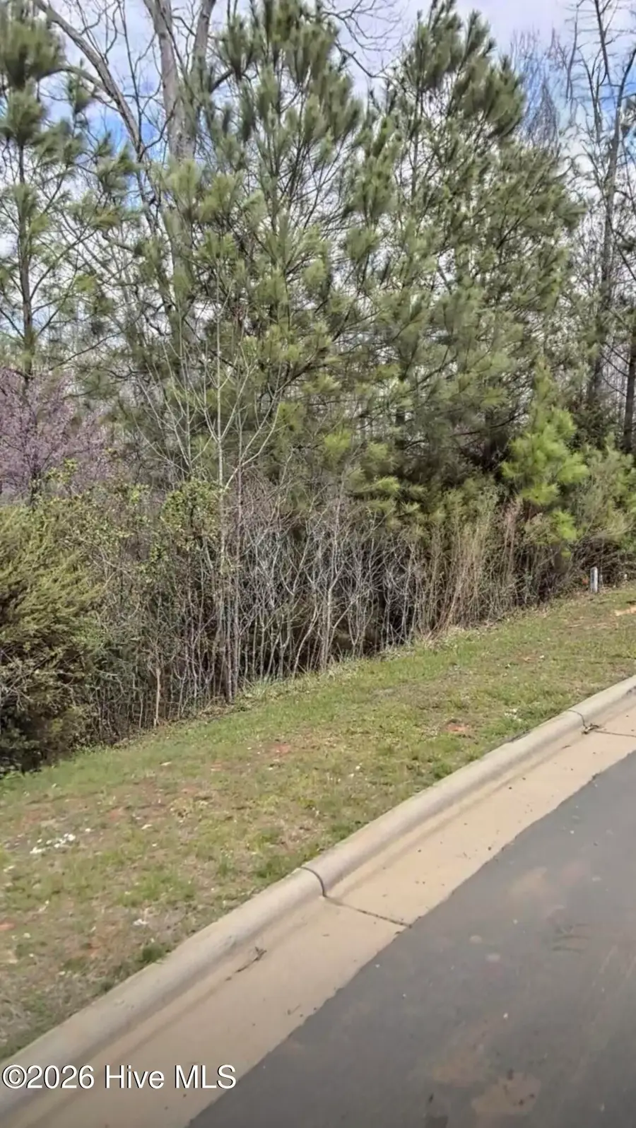 67 Lookout Ridge, Pittsboro, NC 27312 - #2
