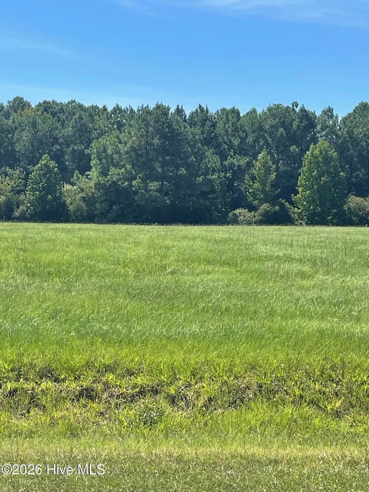 17 Blue Heron Blvd Boulevard, Hertford, NC 27944 - #1