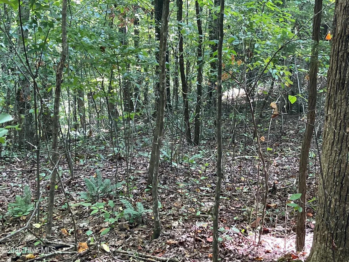 81a-82a Licklog Road, Hayesville, NC 28904 - #1