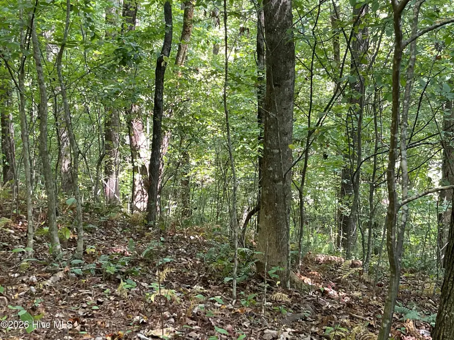 81a-82a Licklog Road, Hayesville, NC 28904 - #3