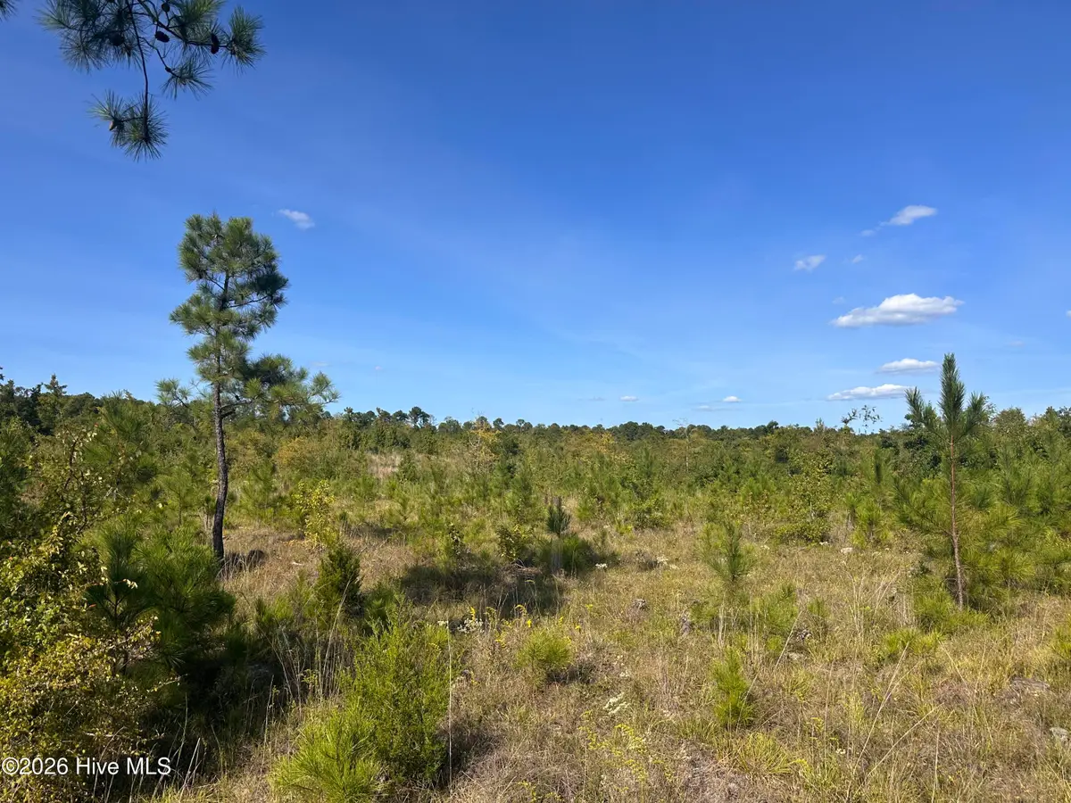 Hwy 139 And Hwy 28 Old Plum Branch Rd S, Plum Branch, SC 29845 - #1