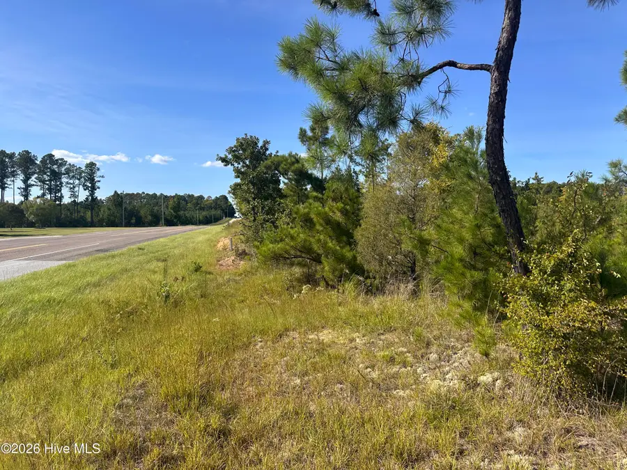 Hwy 139 And Hwy 28 Old Plum Branch Rd S, Plum Branch, SC 29845 - #2