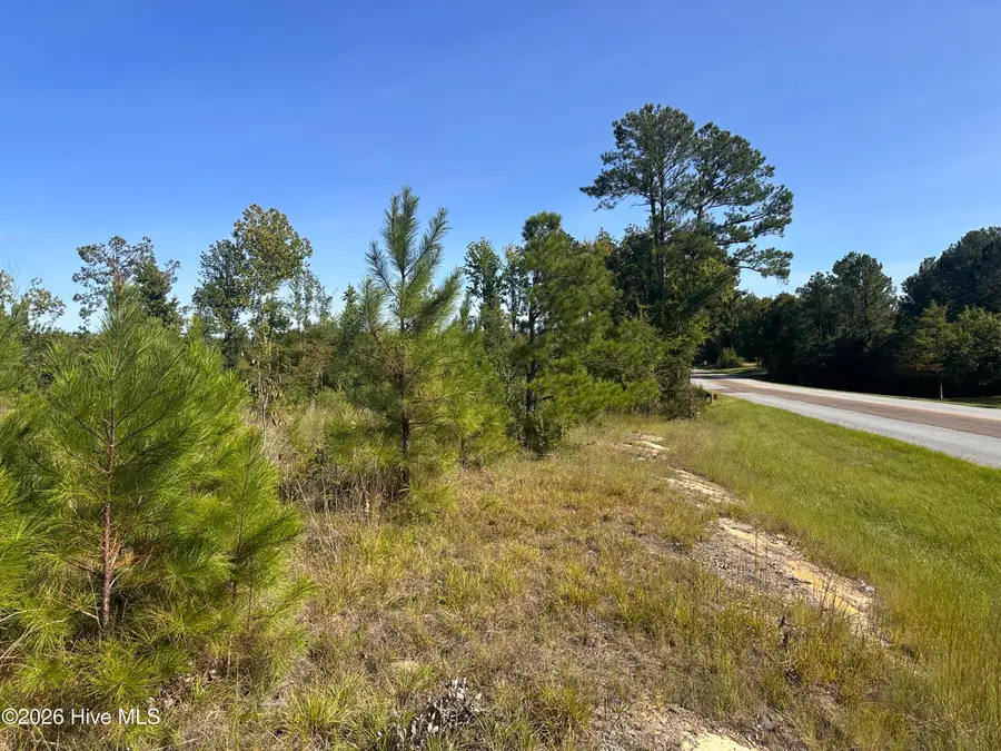 Hwy 139 And Hwy 28 Old Plum Branch Rd S, Plum Branch, SC 29845 - #3