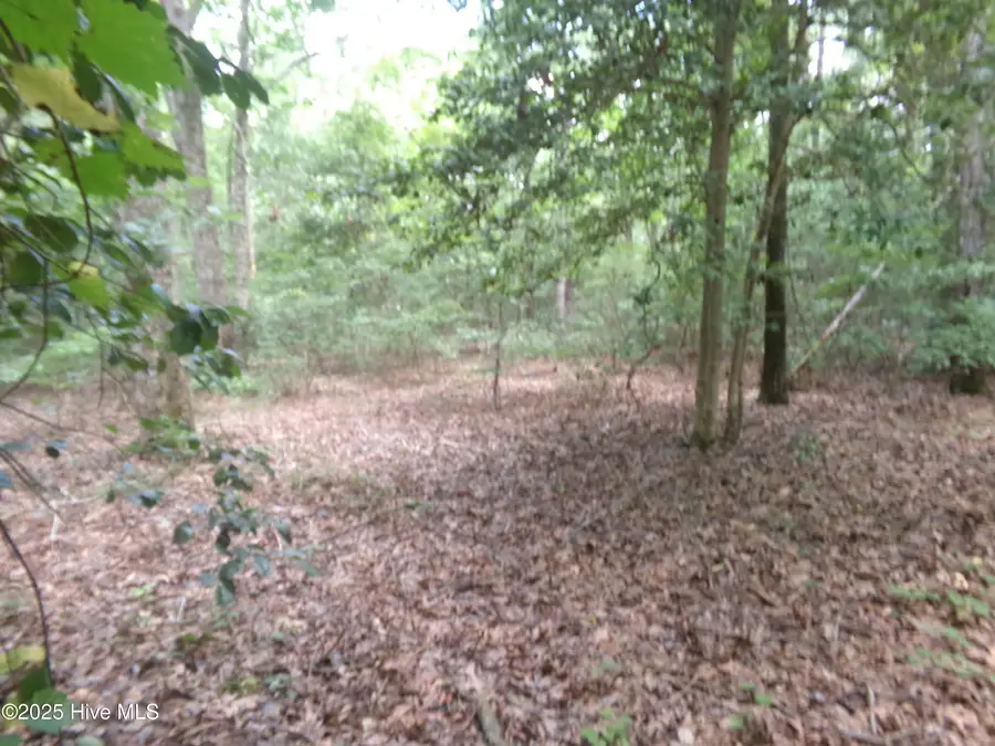 Lot 37 Plantation Road, Elizabethtown, NC 28337 - #2