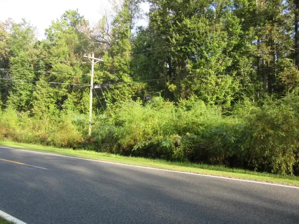 Near 1671 Old Wilmington Road, Whiteville, NC 28472