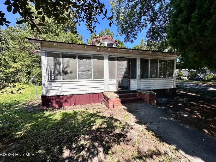 757 Pamlico Street, Belhaven, NC 27810 - #3