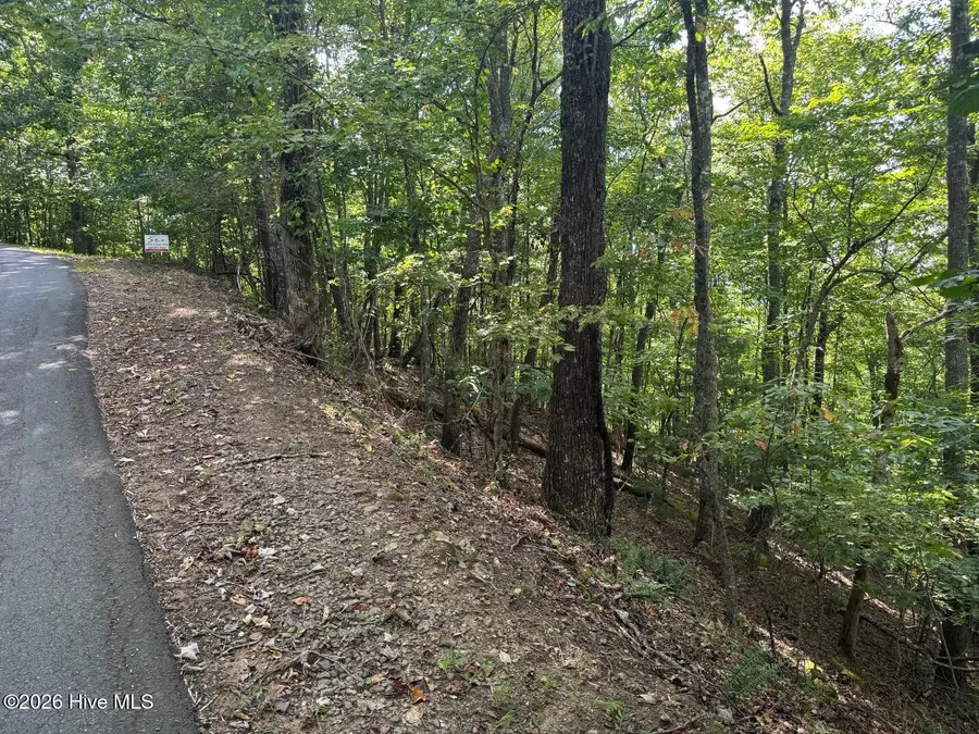 18 Mason Way, Murphy, NC 28906 - #3