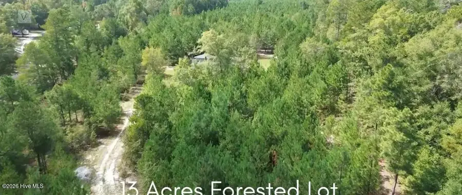 16369 Palmer Road, Marston, NC 28363 - #2