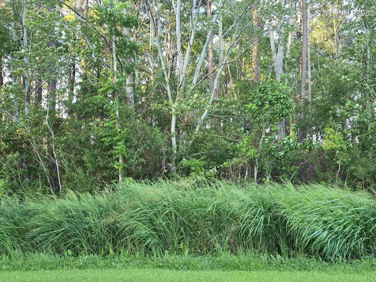 104 Spindrift Trail, Elizabeth City, NC 27909 - #1