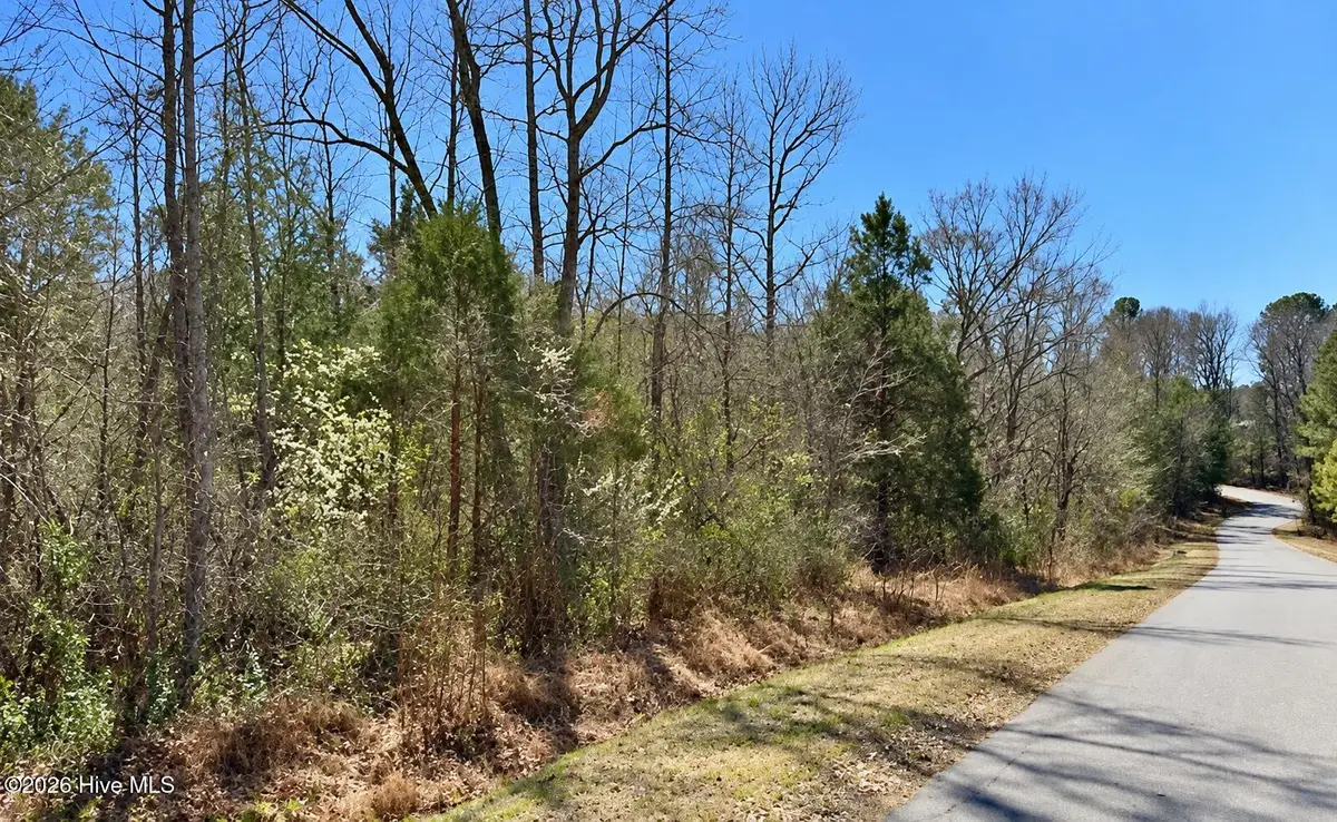 132 Bill Thomas Road, Moncure, NC 27559 - #1