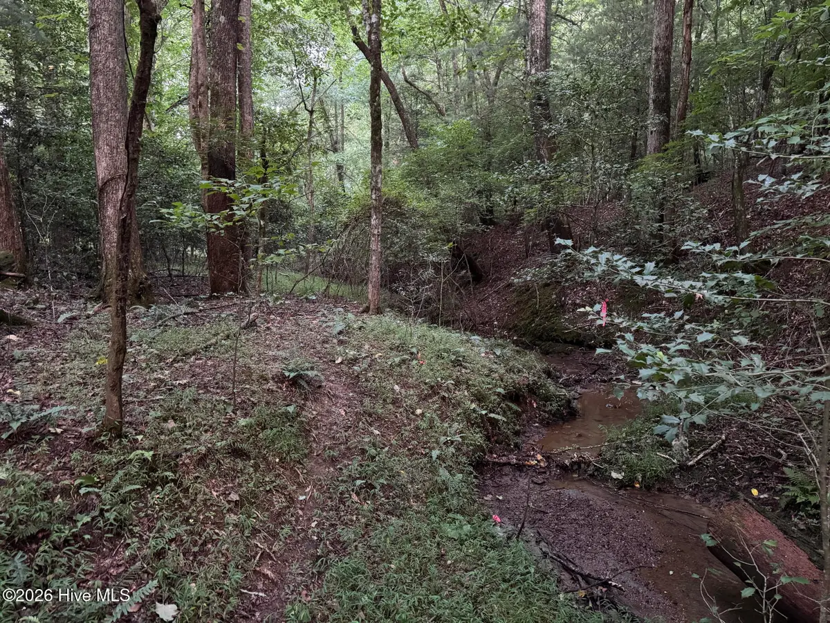 Lot 35 Tr2 Scenic Drive, Hayesville, NC 28904 - #1