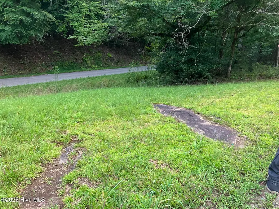 Lot 35 Tr2 Scenic Drive, Hayesville, NC 28904 - #2