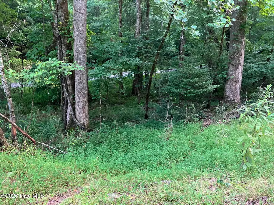 Lot 35 Tr2 Scenic Drive, Hayesville, NC 28904 - #3