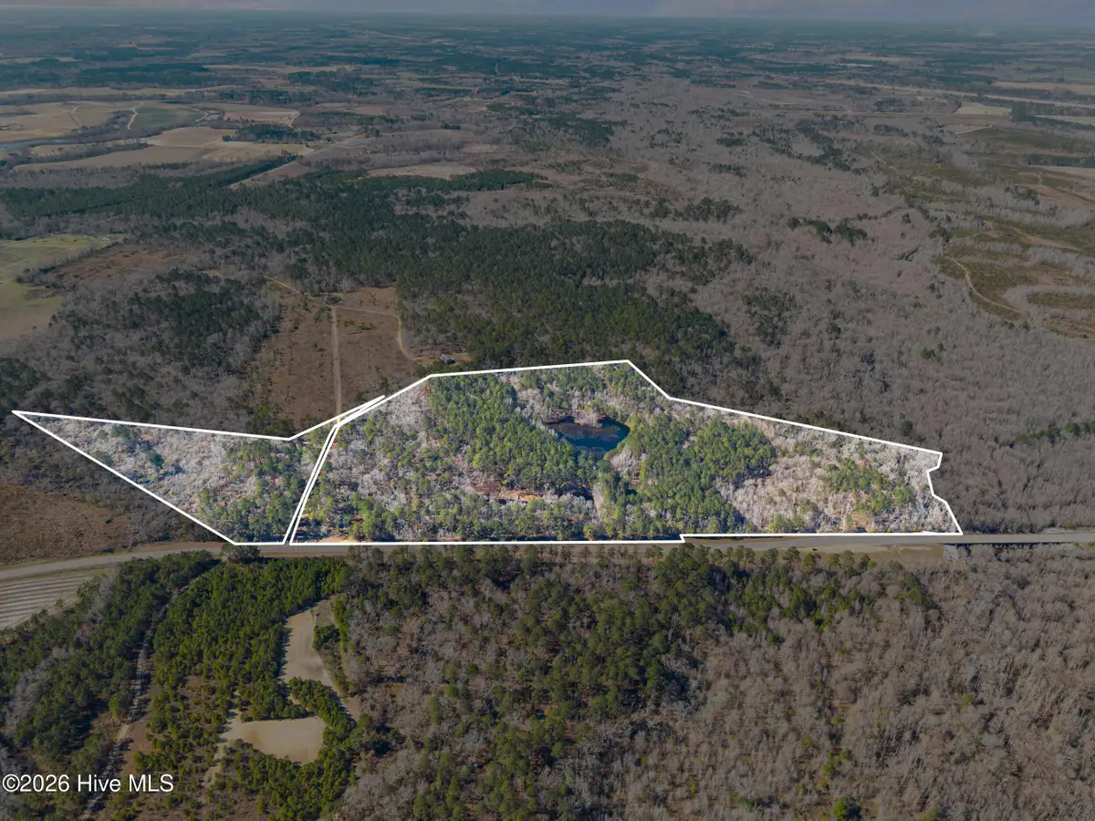 22701 Highway 129, Cobbtown, GA 30420 - #1