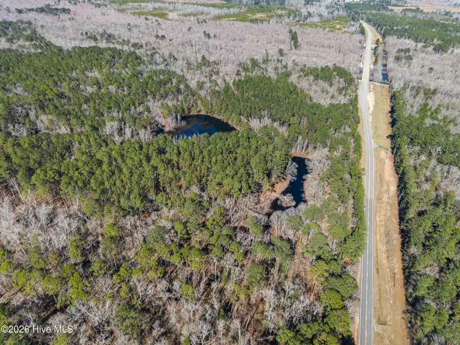 22701 Highway 129, Cobbtown, GA 30420 - #3