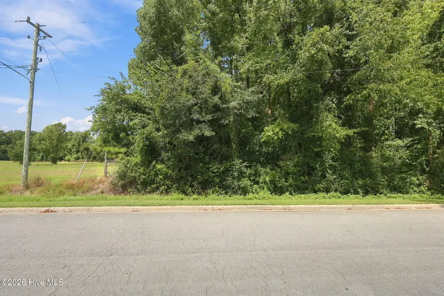 252 Sylvester Street, Richlands, NC 28574 - #2