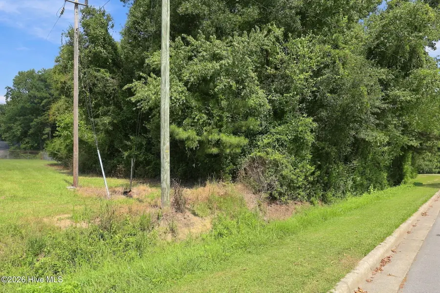 252 Sylvester Street, Richlands, NC 28574 - #3
