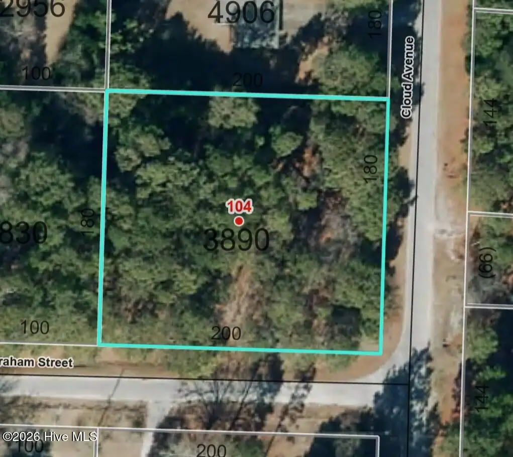 104 Graham Street, Hamlet, NC 28345 - #1
