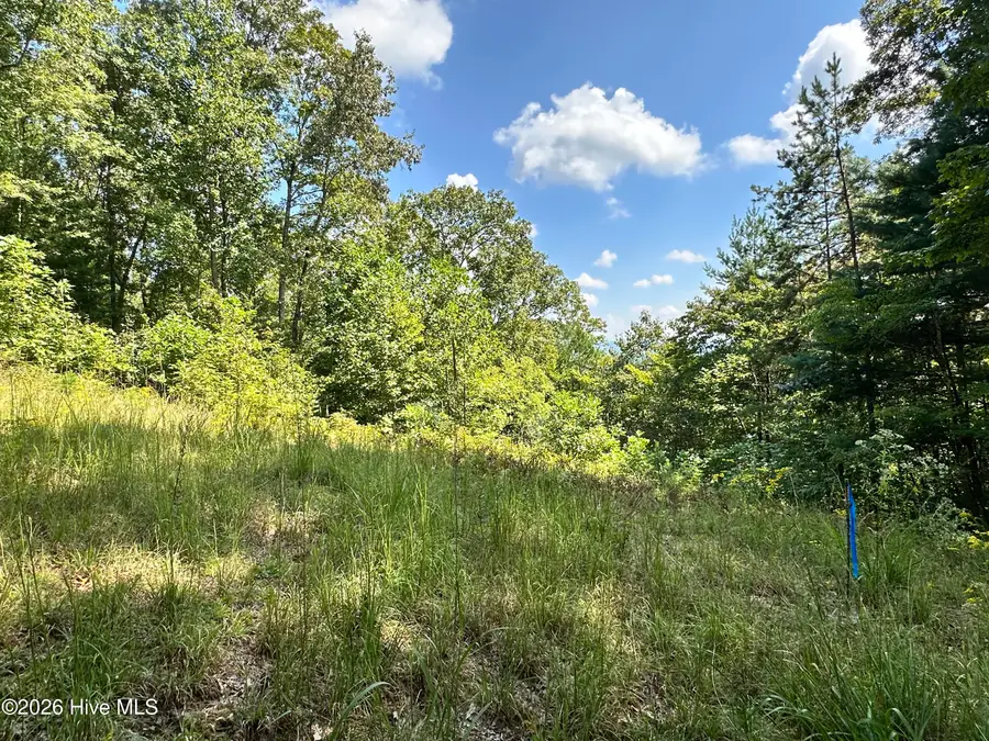 872 Majestic Mountain Trail, Murphy, NC 28906 - #2