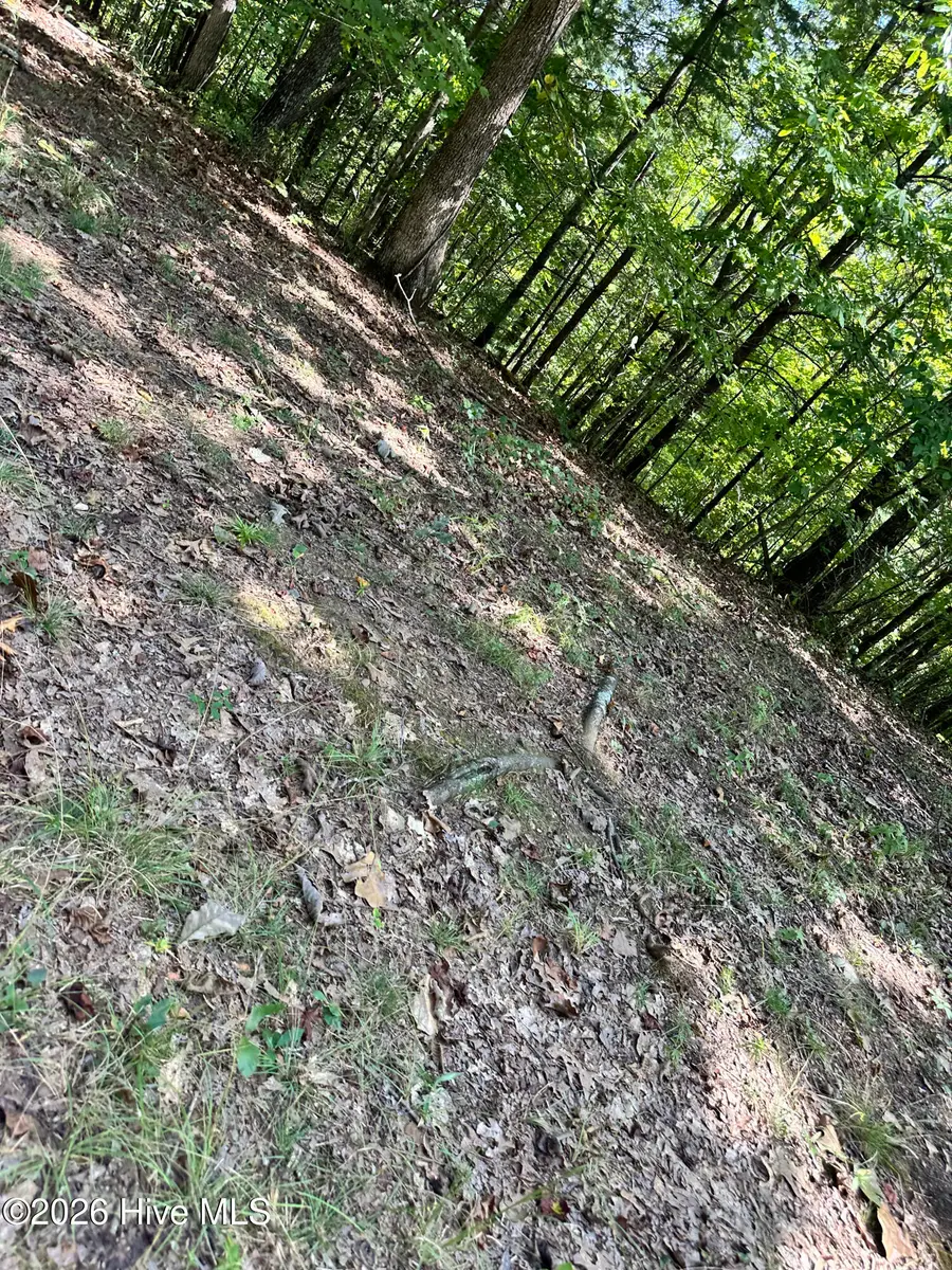 872 Majestic Mountain Trail, Murphy, NC 28906 - #3