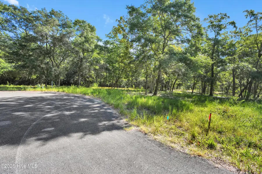 3447 Bassett Street Sw, Shallotte, NC 28470 - #3