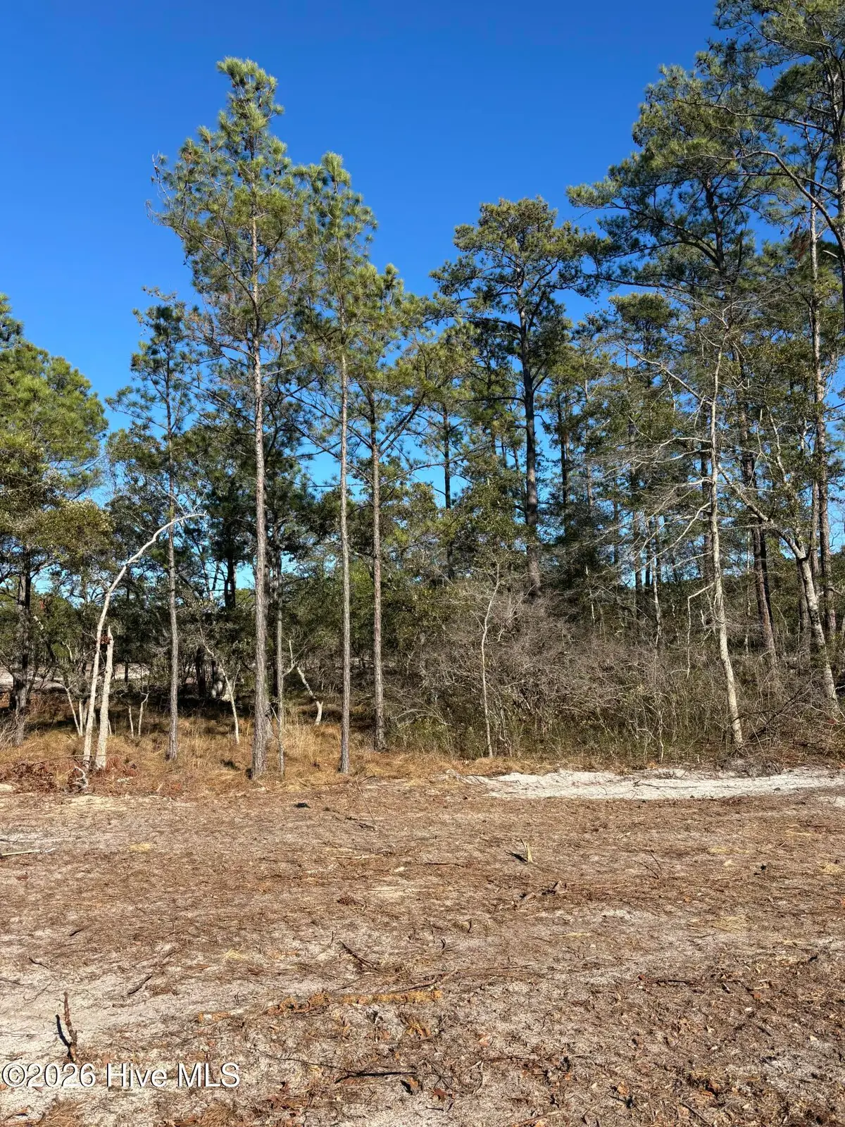 Lot 131 Coral Gull Street, Southport, NC 28461 - #1