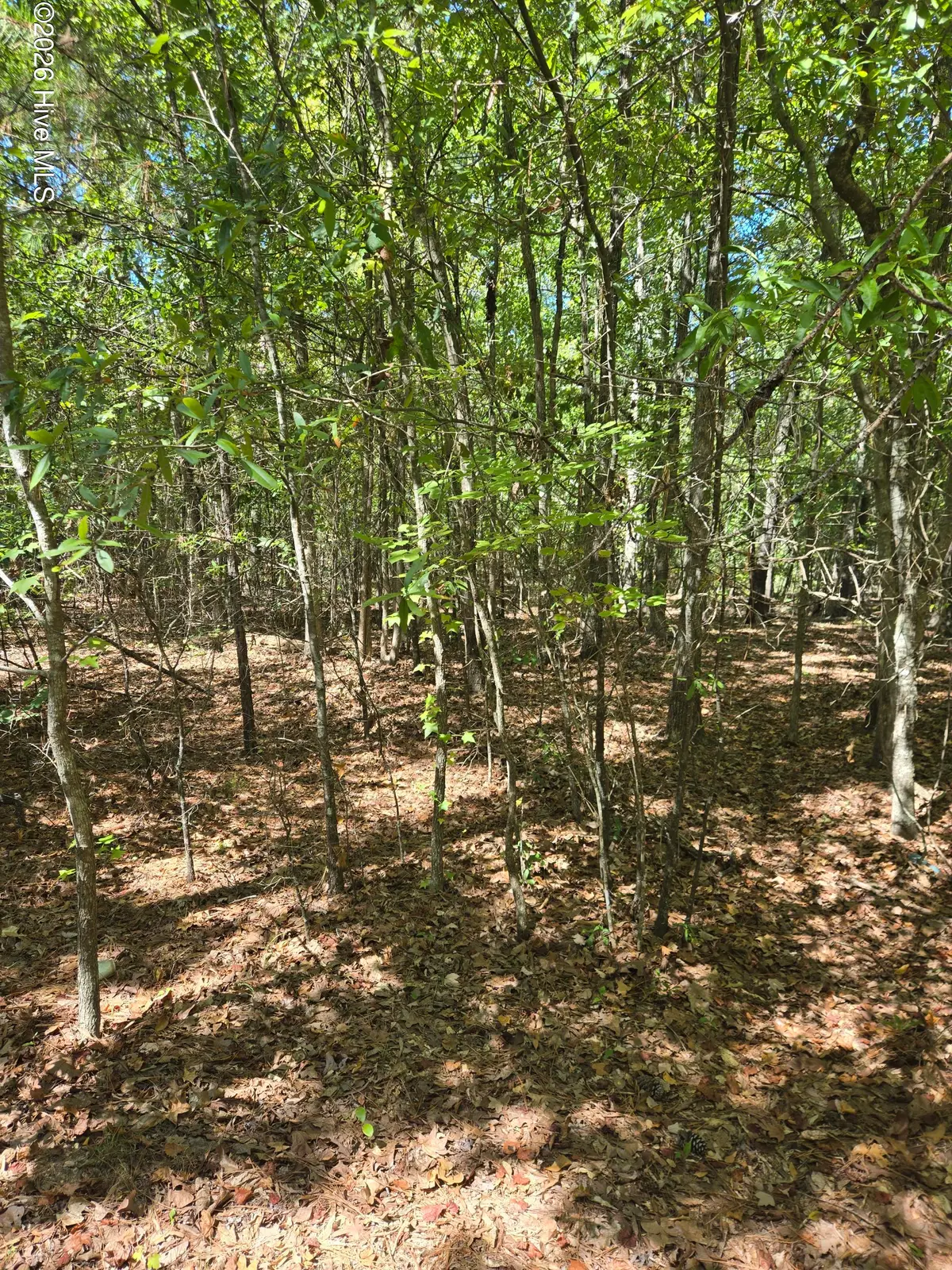0 Partridge Town Rd Road, Lincolnton, GA 30817 - #1