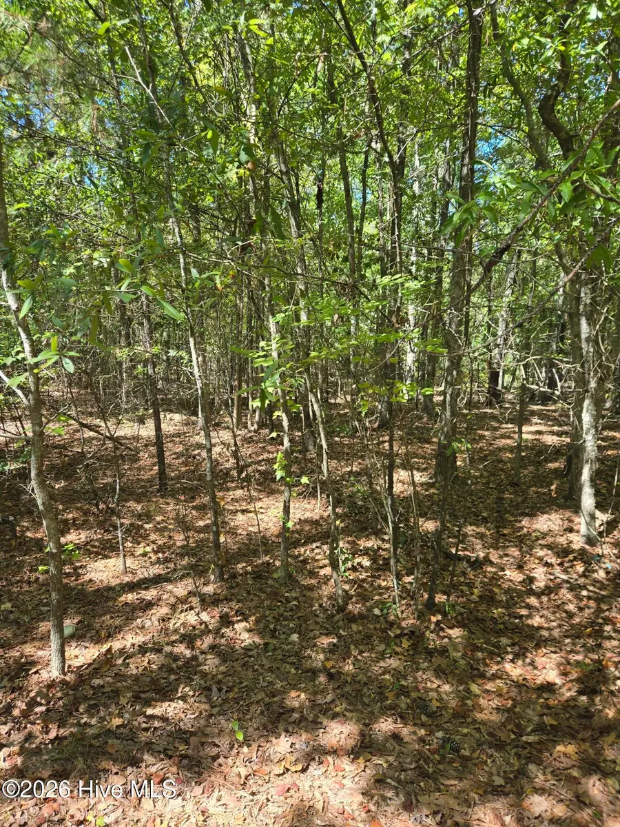 0 Partridge Town Rd Road, Lincolnton, GA 30817 - #2