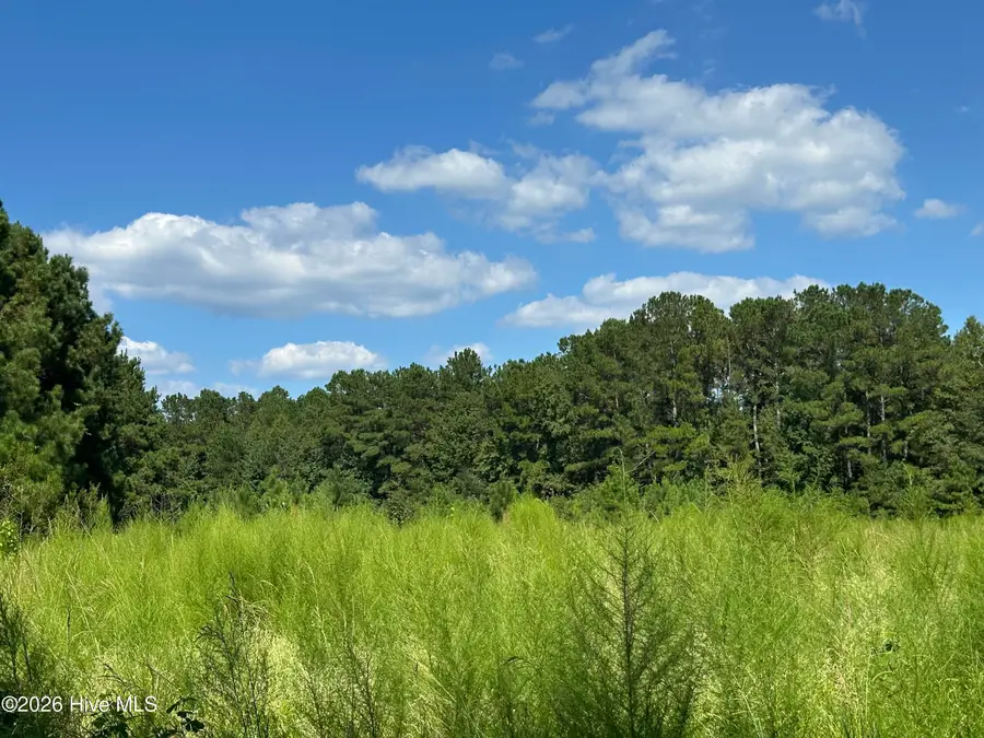 1268 Cherry Town Road, Hallsboro, NC 28442 - #3