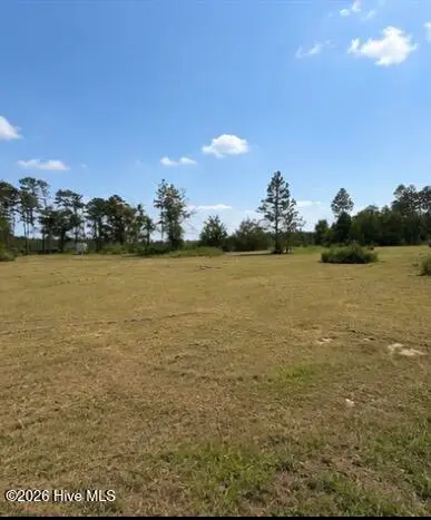 1087 Green Morgan Sch Road, Springfield, GA 31329 - #2