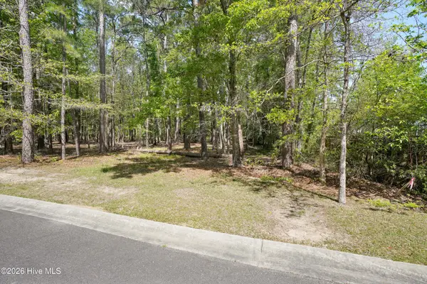 3496 Fairway Crest Drive Sw, Shallotte, NC 28470