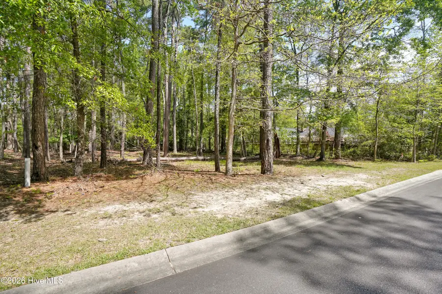 3496 Fairway Crest Drive Sw, Shallotte, NC 28470 - #2