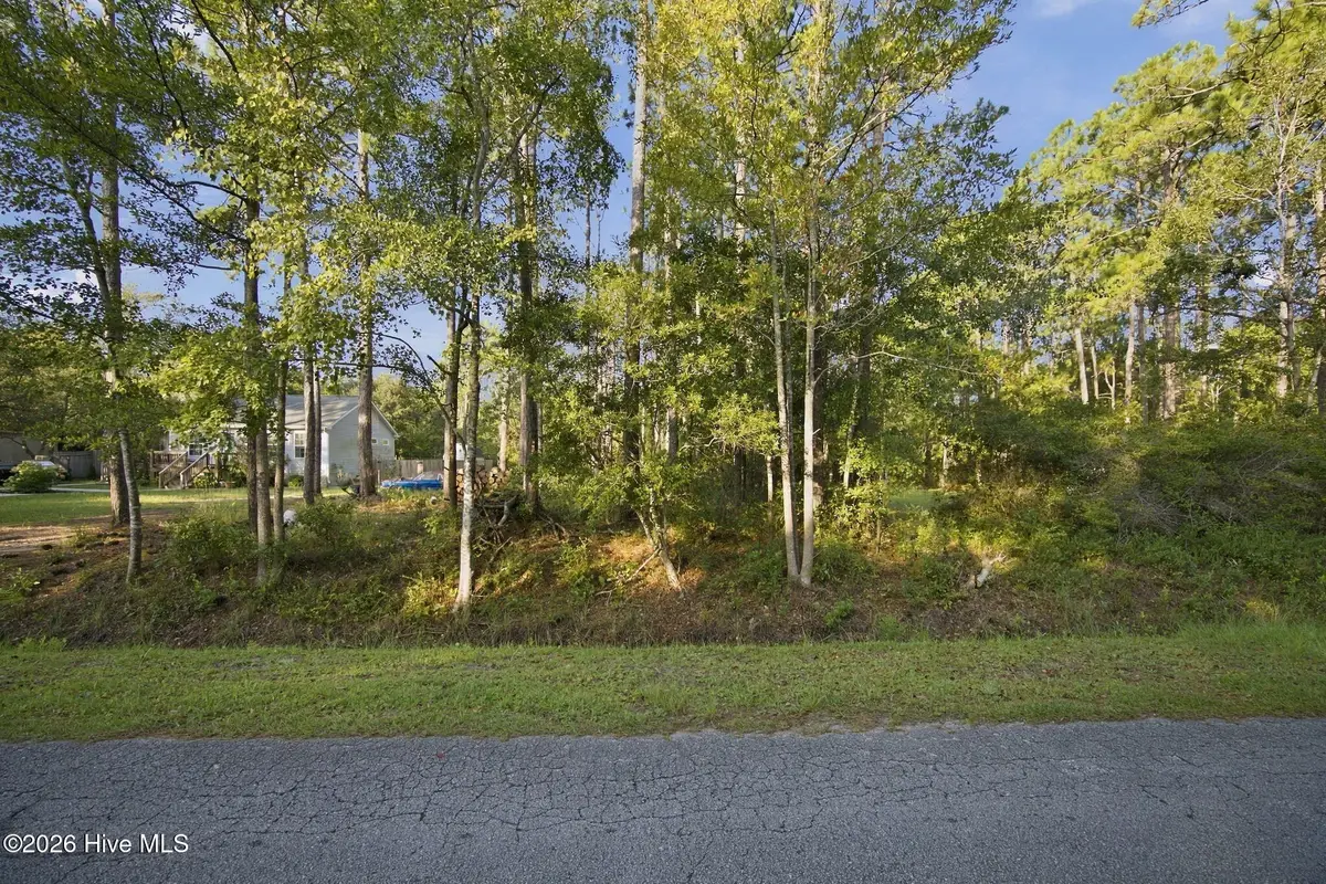 1140 Lexington Street, Southport, NC 28461 - #1