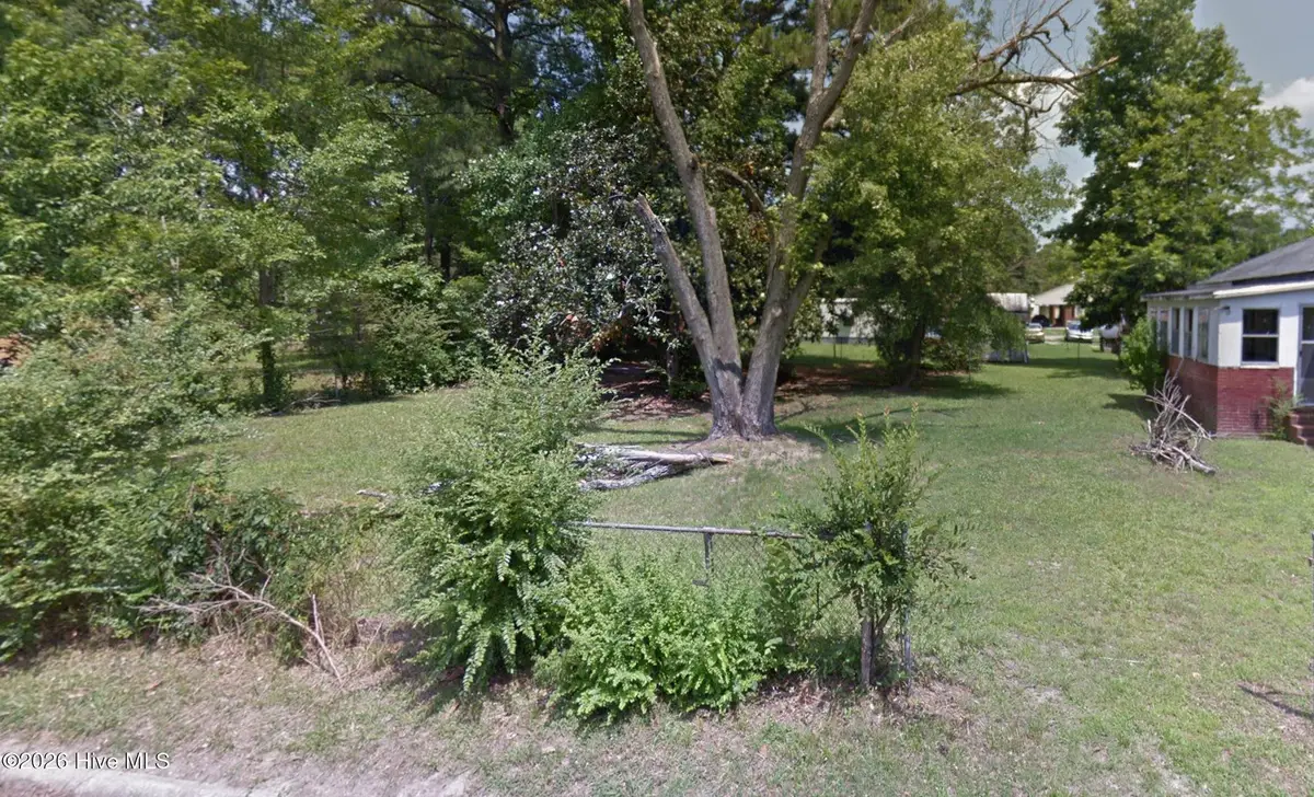 1334 Elm Street, Scotland Neck, NC 27874 - #1
