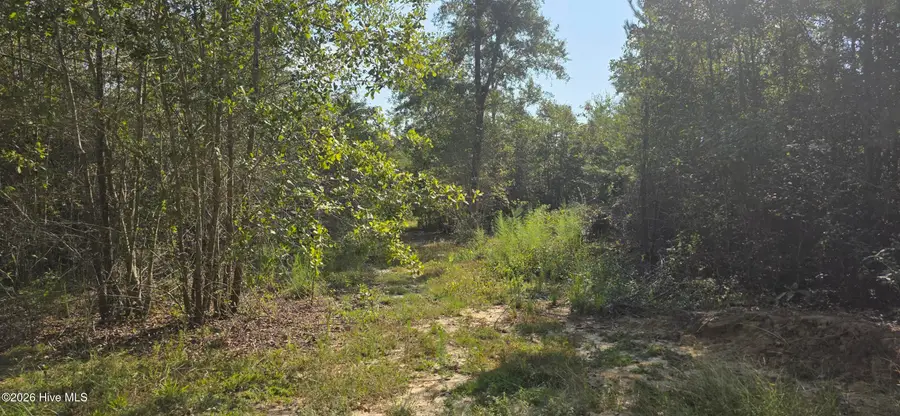 131 Spirit Lane, Aiken, SC 29801 - #2