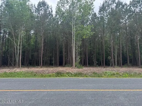 3 Great Swamp Road, Ernul, NC 28527