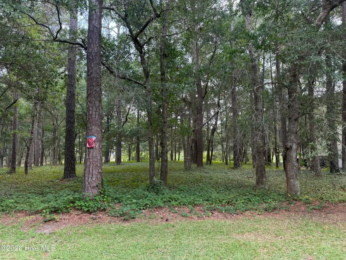 3055 Channel Drive Se, Bolivia, NC 28422 - #1