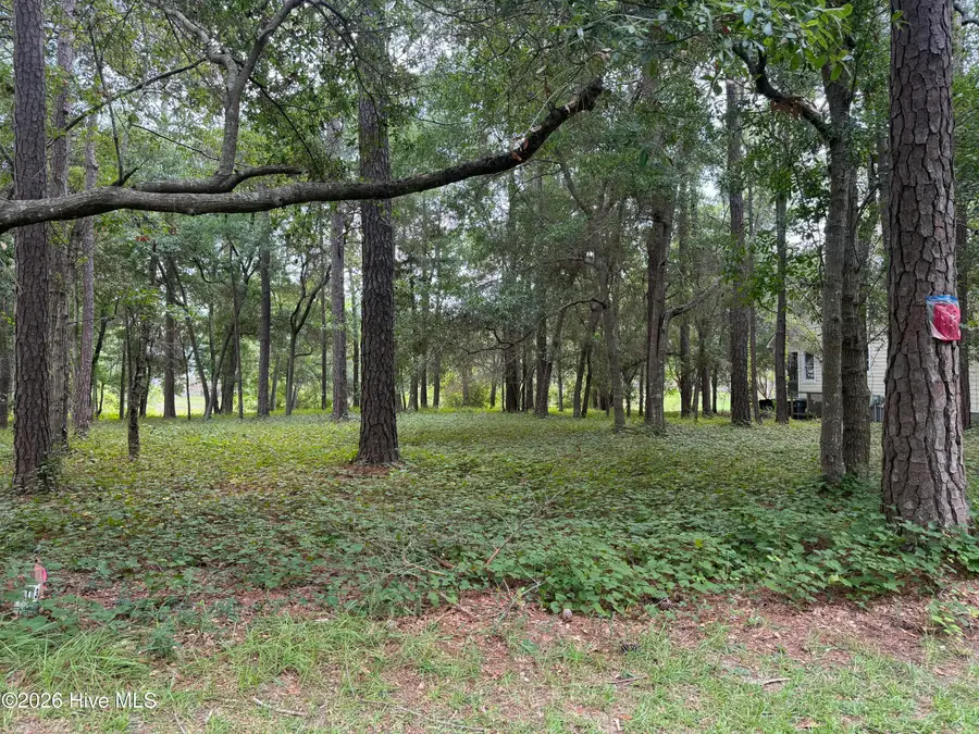 3055 Channel Drive Se, Bolivia, NC 28422 - #2