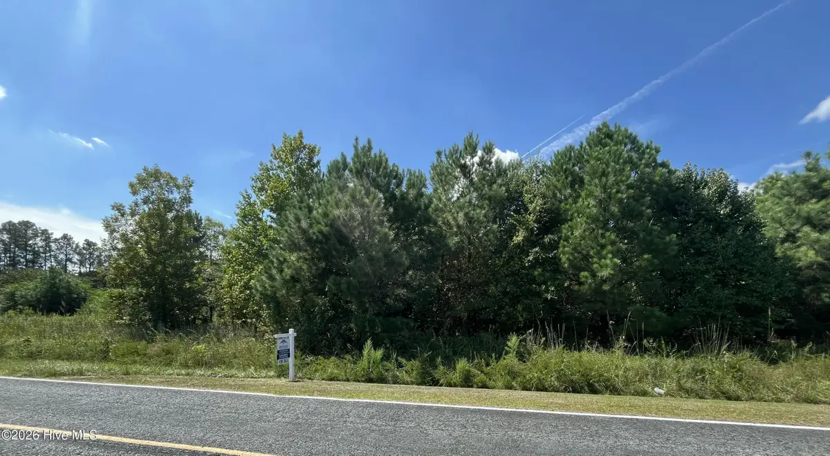 1923 Leonard Rich Road, Magnolia, NC 28453 - #1