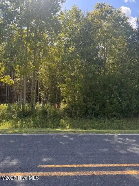 Lot 4 Great Swamp Road, Ernul, NC 28527