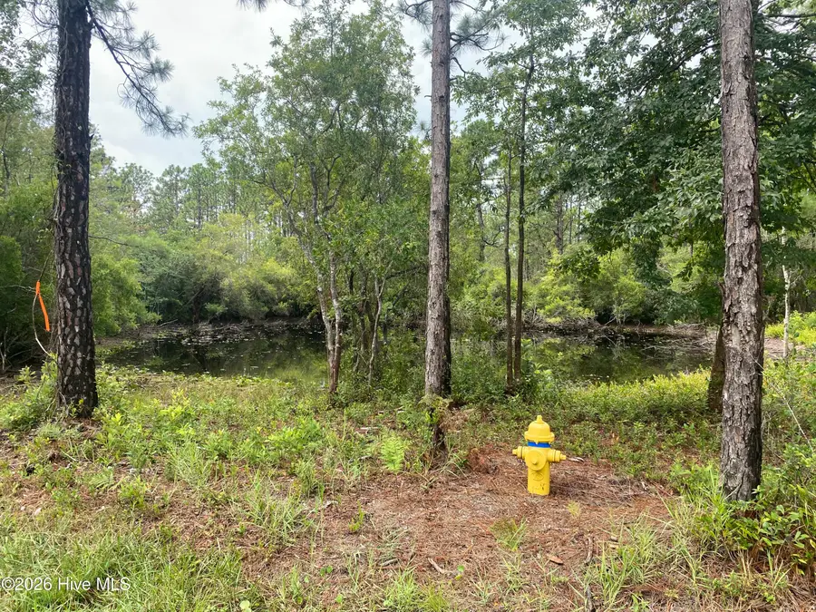 120 Dixon Road, Boiling Spring Lakes, NC 28461 - #2