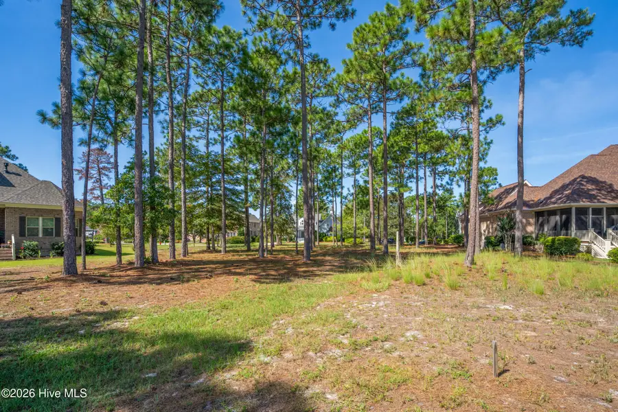 343 Laurel Valley Drive, Shallotte, NC 28470 - #3
