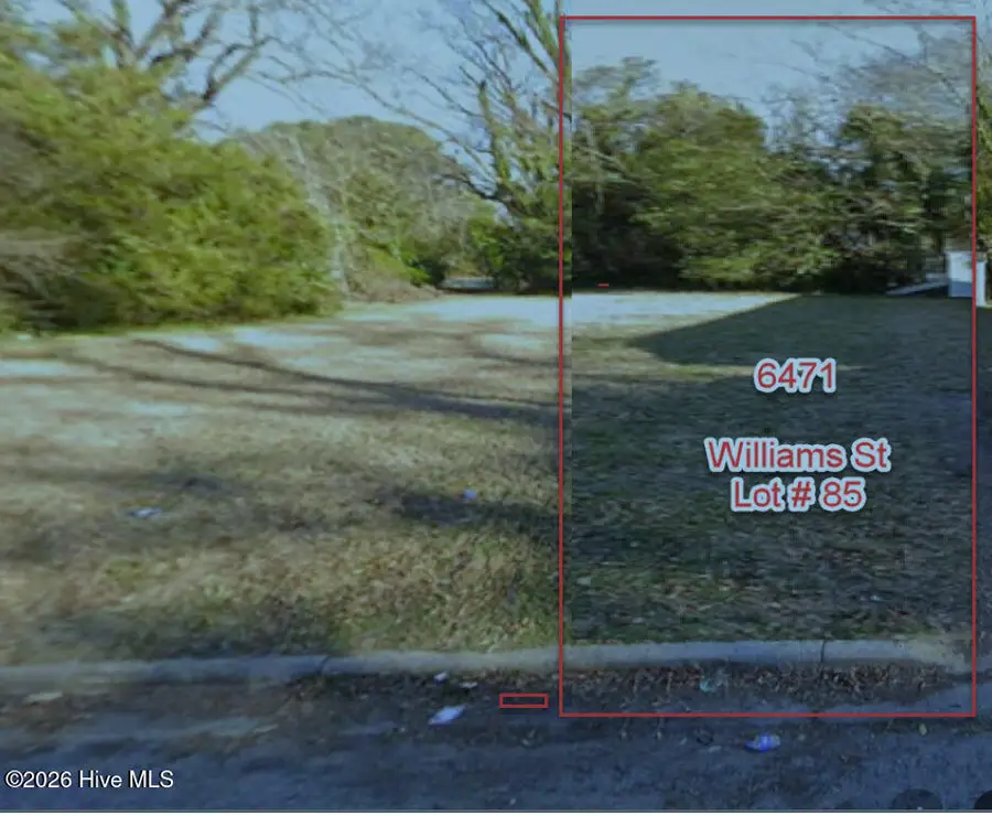 85 4617821004 Williams Street, Farmville, NC 27828 - #2