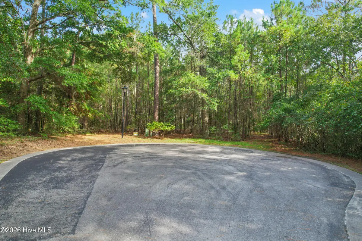 3570 Red Berry Court Sw, Supply, NC 28462 - #1
