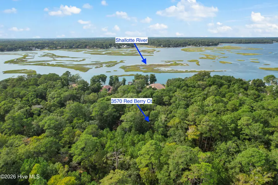 3570 Red Berry Court Sw, Supply, NC 28462 - #3