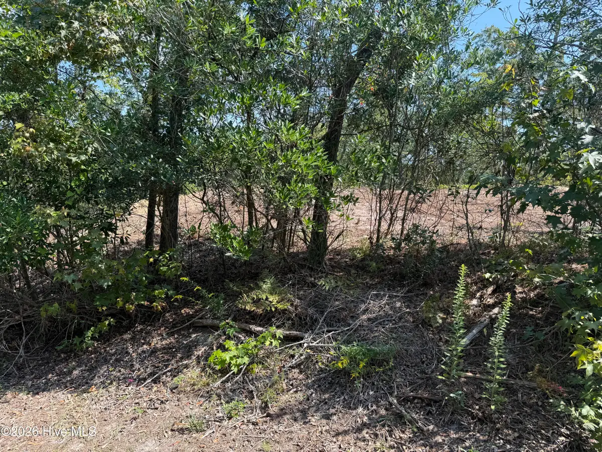 164 Shingle Landing Lane, Kill Devil Hills, NC 27948 - #1
