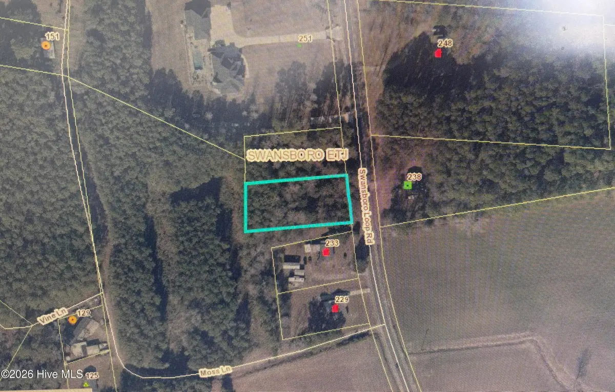 235 Swansboro Loop Road, Swansboro, NC 28584 - #1