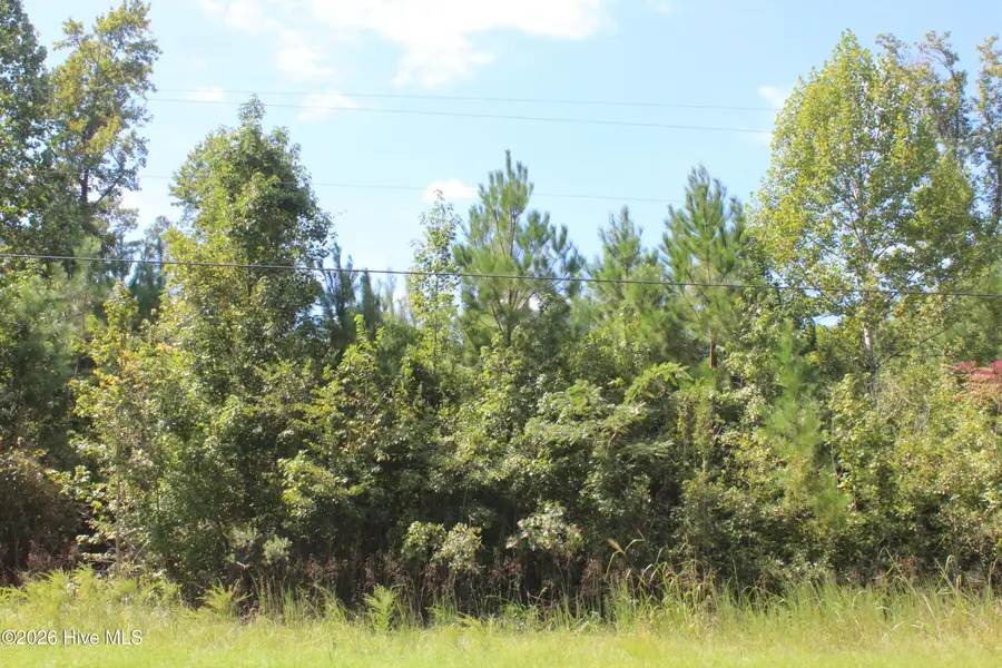 321 Pine Cliff Road, Havelock, NC 28532 - #2