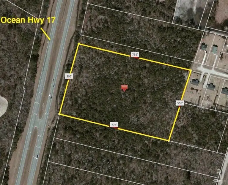 6898 Ocean Highway E, Leland, NC 28451 - #1